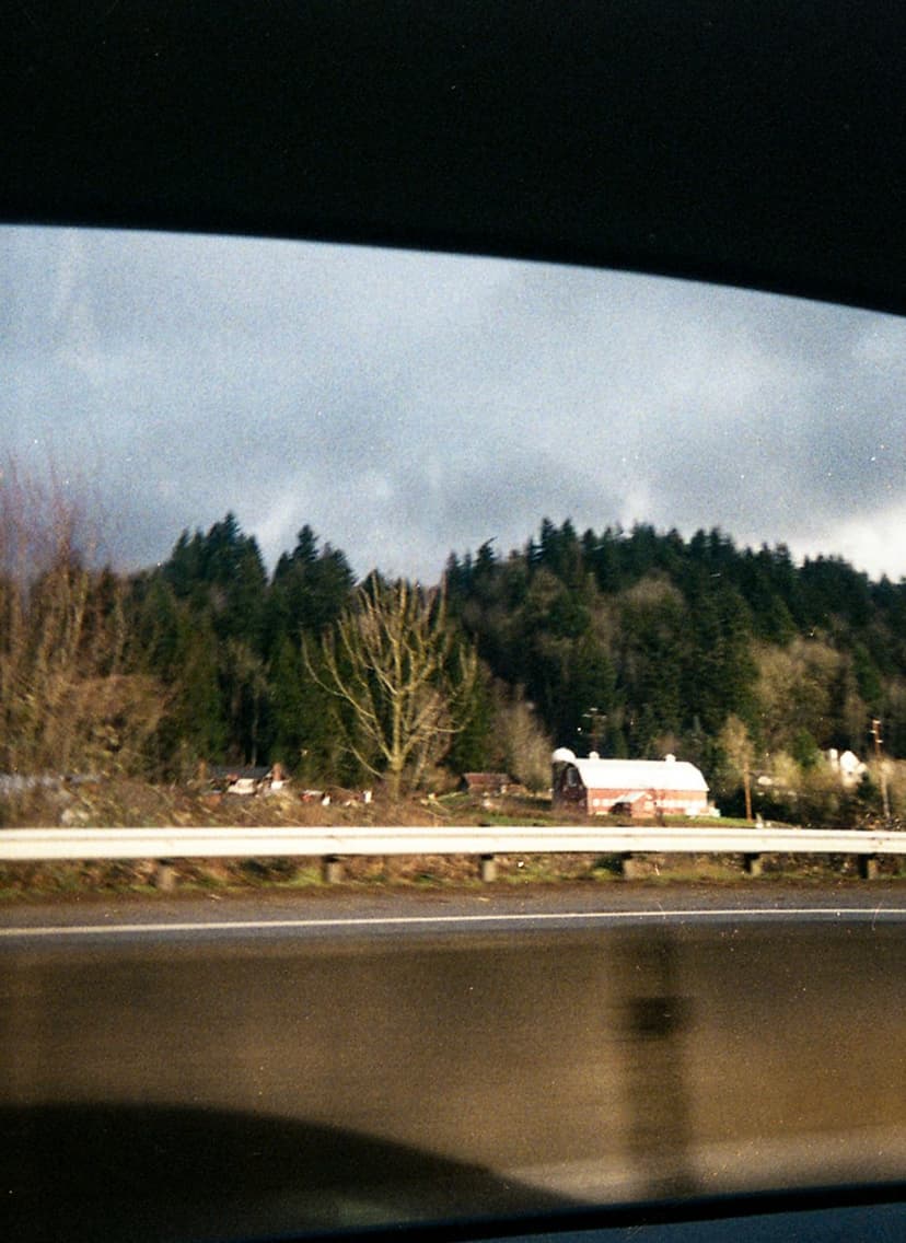 Film photo 2
