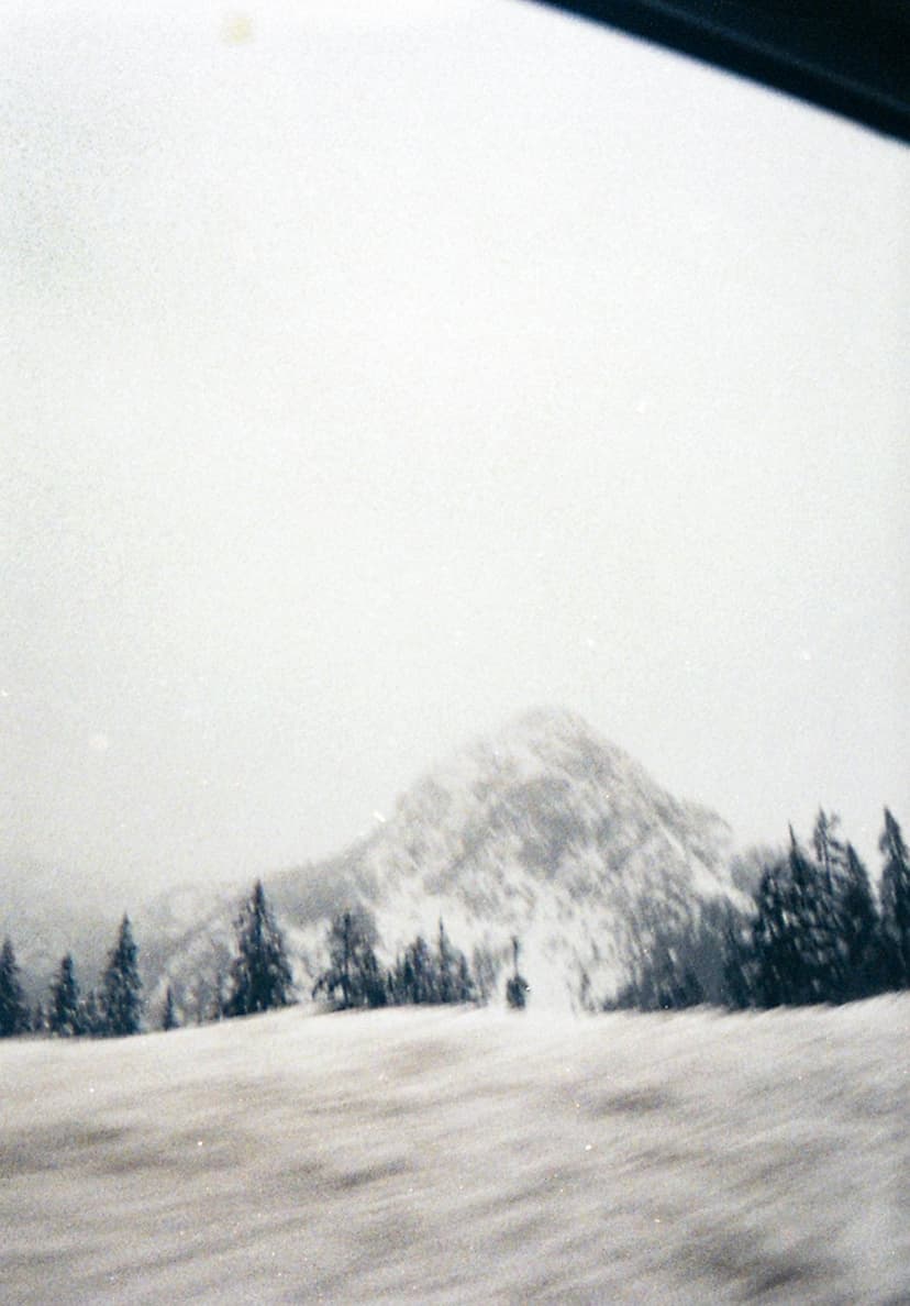 Film photo 1