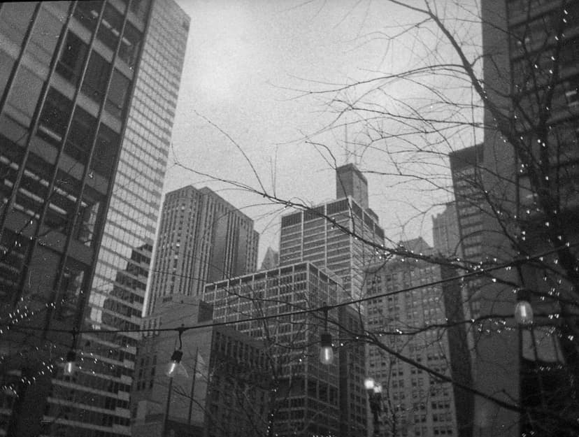 Film photo 3
