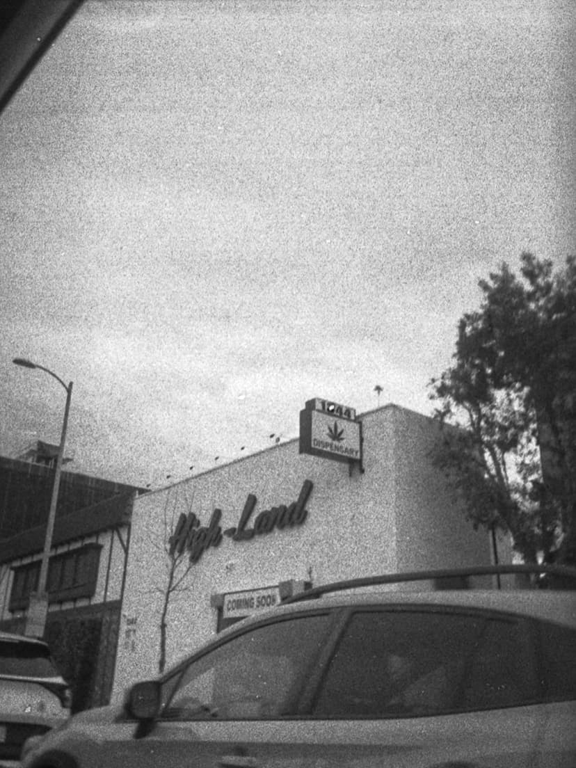 Film photo 20